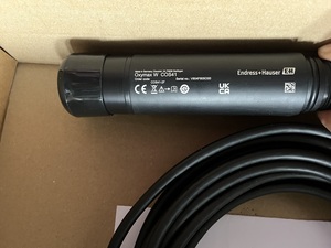 Manual del Sensor de Oxígeno Disuelto E+H Endress+Hauser Oxymax W COS41 - Product Image 1