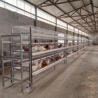 Cage à poules pondeuses de type H, 4 niveaux, 5 portes, 160 poules, cadre en acier haute teneur en zinc, système d'alimentation et d'abreuvement automatique