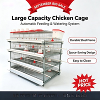 Cage d'élevage automatique de type H à double moteur avec élimination des déjections, 3/4 niveaux, pour 48-160 poussins en couvoir