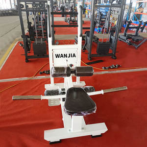 Pelat berat dimuat pinggul Thruster bawaan untuk gym profesional memastikan gerakan yang halus dan keuntungan maksimum - Product Image 6