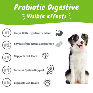 Suplementos Masticables Suaves de Alta Calidad para Mascotas, Probióticos, Absorción Rápida de Nutrientes, Equilibrio del pH, Venta al por Mayor para el Cuidado de la Salud de las Mascotas - Product Image 3
