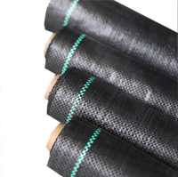 Film tissé en polypropylène géotextile PP Paillage barrière de contrôle de l'herbe tapis de contrôle des mauvaises herbes tissu de contrôle des mauvaises herbes couverture du sol