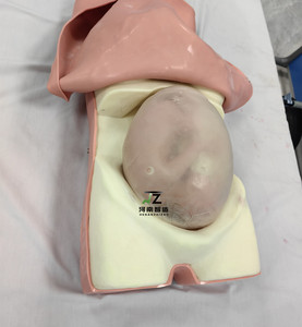 2025 máy tính chất lượng cao Phụ nữ mang thai kiểm tra mô hình bốn phần sờ nắn mô hình đào tạo giảng dạy y tế - Product Image 4