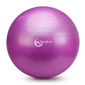 Pelota de yoga clásica meridiana de fábrica Zhengsheng que sus clientes querrán tener - Product Image 1