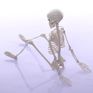 90CM Buiten Halloween Decoratie Levensgroot Realistisch Geplaatste Gewrichten Halloween Menselijk Skelet - Product Image 3