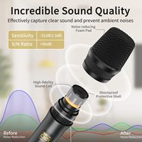 Systèmes de microphones sans fil professionnels pour scène, karaoké, microphone sans fil portable pour chant, événements festifs