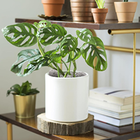 Brasero extérieur moderne haut de gamme en pierre de lave naturelle, foyer à gaz écologique sans fumée pour cuisson extérieure et usage décoratif domestique