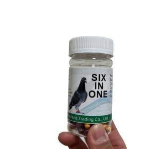 Güvercin altı bir yarış takviyeleri solunum yolu için ilaç espet chia Pet Eimeria Trichomonas evcil hayvan güvercinler için - Product Image 3