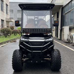 Nuevo diseño <span class=keywords><strong>Mega</strong></span> cantidad por lote Tendencia del mercado Personalización elegante Carro de golf utilitario eléctrico - Product Image 3