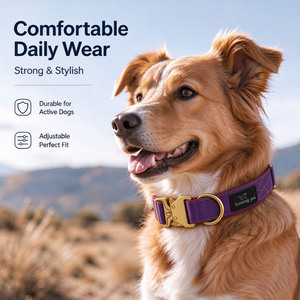 Ensemble laisse et collier tactique en nylon pour chien, avec rembourrage, pour promenades et dressage, personnalisable - Product Image 5