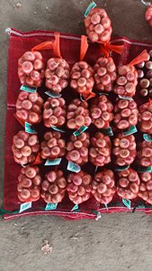 <span class=keywords><strong>Cebolla</strong></span> roja <span class=keywords><strong>o</strong></span> amarilla pequeña de alta calidad a precio mayorista, directamente de fábrica en China - Product Image 3