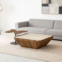 Table basse en marbre, ensemble de tables basses pour salon, table basse contemporaine simple en forme de pétale, table basse en placage de bois
