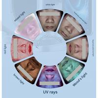 Appareil d'analyse cutanée IA portable Z, caméra d'analyse cutanée 3D, miroir magique, système de diagnostic facial pour salon