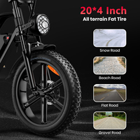 VTT électrique personnalisable 48V 20AH 1000w moteurs 20 pouces gros pneu vélos électriques adultes