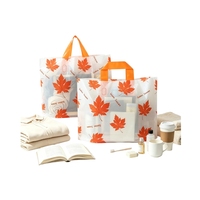 Sac de vente au détail en plastique à livraison rapide, avec poignée renforcée et motif imprimé, idéal pour les vêtements et les cadeaux