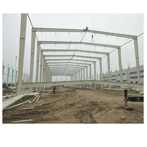 Shandong Prefab Light Steel Frame Metal Frame Storage Shed Warehouse Building