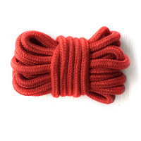 Ensemble de 12 attaches SM imperméables de haute qualité pour femmes avec plug anal et pinces à tétons - Kit de jouets sexuels pour adultes