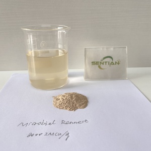 Rennet microbico per formaggio 9042-08-4 Rennet microbico Rennet <span class=keywords><strong>in</strong></span> <span class=keywords><strong>polvere</strong></span> - Product Image 4