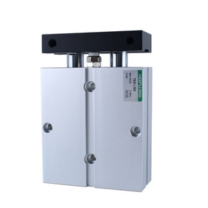 Cilindro de Pistón Manipulador Hofujng TN 25/32 Tipo 10-150mm, Cilindro Estándar de Doble Acción - Product Image 1