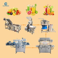 Kleine sapmachine, natuurlijke automatische mango fruit NFC sap productielijn, afvullijn, kleine schaal, roestvrij staal