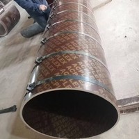 Contrachapado Profesional de Alta Resistencia con Revestimiento de Película para Proyectos de Construcción de Hormigón