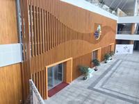 Revêtement mural en aluminium à grain de bois/peinture poudrée au design moderne pour les murs intérieurs/extérieurs des hôtels, villas, centres commerciaux et hôpitaux