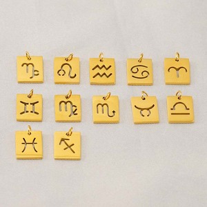 패션 방수 스테인리스 스틸 12 별자리 참 펜던트 별자리 참 목걸이 여성 남성용 주얼리 - Product Image 2
