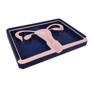 Model pelatihan kontrasepsi dalam rahim wanita, alat kontrasepsi dalam sains medis (IUD) untuk latihan siswa perawat - Product Image 2