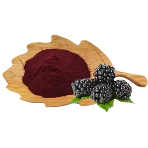Polvo de jugo de fruta de bayas negras polvo de jugo de bayas de fruta de frambuesa negra natural - Product Image 2