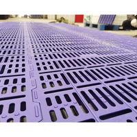Plancher en lattes de plastique durable pour porcelets, équipement de cage pour animaux d'élevage en état neuf pour l'élevage de porcs