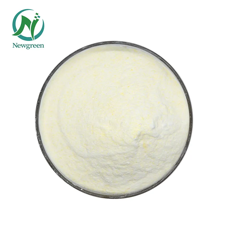 High Quality Food Grade Soy Protein Isolate Powder with Best Price