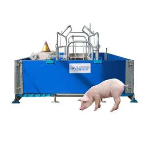 Jaulas de Paridera Tipo Europeo Duraderas con Comederos para Cerdos - Product Image 2