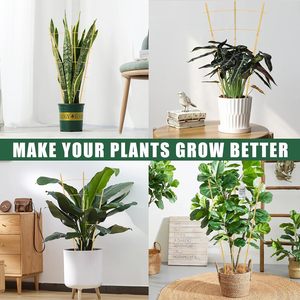 Enrejado de <span class=keywords><strong>Bambú</strong></span> para Jardín - 61 cm de Alto, Perfecto para Plantas Trepadoras, Vegetales y Macetas - Mejora tu Jardín con <span class=keywords><strong>Bambú</strong></span> Natural - Product Image 6