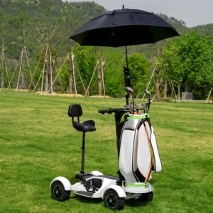 <span class=keywords><strong>Chariot</strong></span> de <span class=keywords><strong>golf</strong></span> électrique ESWING 48V 20Ah à double moteur, pliable et léger, fabrication OEM, vente en gros - Product Image 2