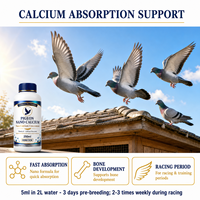 Supplément d'eau potable au calcium pour pigeons 250 ml, Nano Calcium Liquide 10 ml par 2000 ml pour oiseaux de course et colombes, en stock