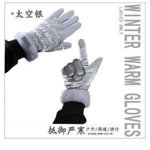 Winter <b>Warm</b> <b>Gloves</b> For Women Touchscreen Compatible Windproof Waterproof Stylish Commute Outdoor <b>Gloves</b> - Product Image 3