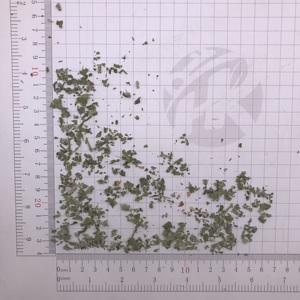 Folha de Marshmallow Yao Shu Kui Ye 100% Natural em Folhas Soltas - Product Image 4