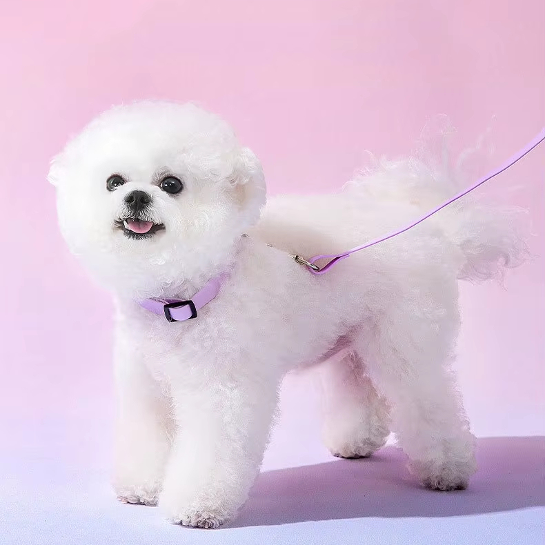 Dog Leash Collar Small and Medium