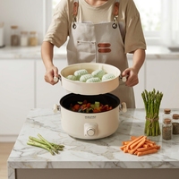 Cuisinière électrique à pression multifonctionnelle à double couche antiadhésive la plus vendue, 5L, cuisinière électrique