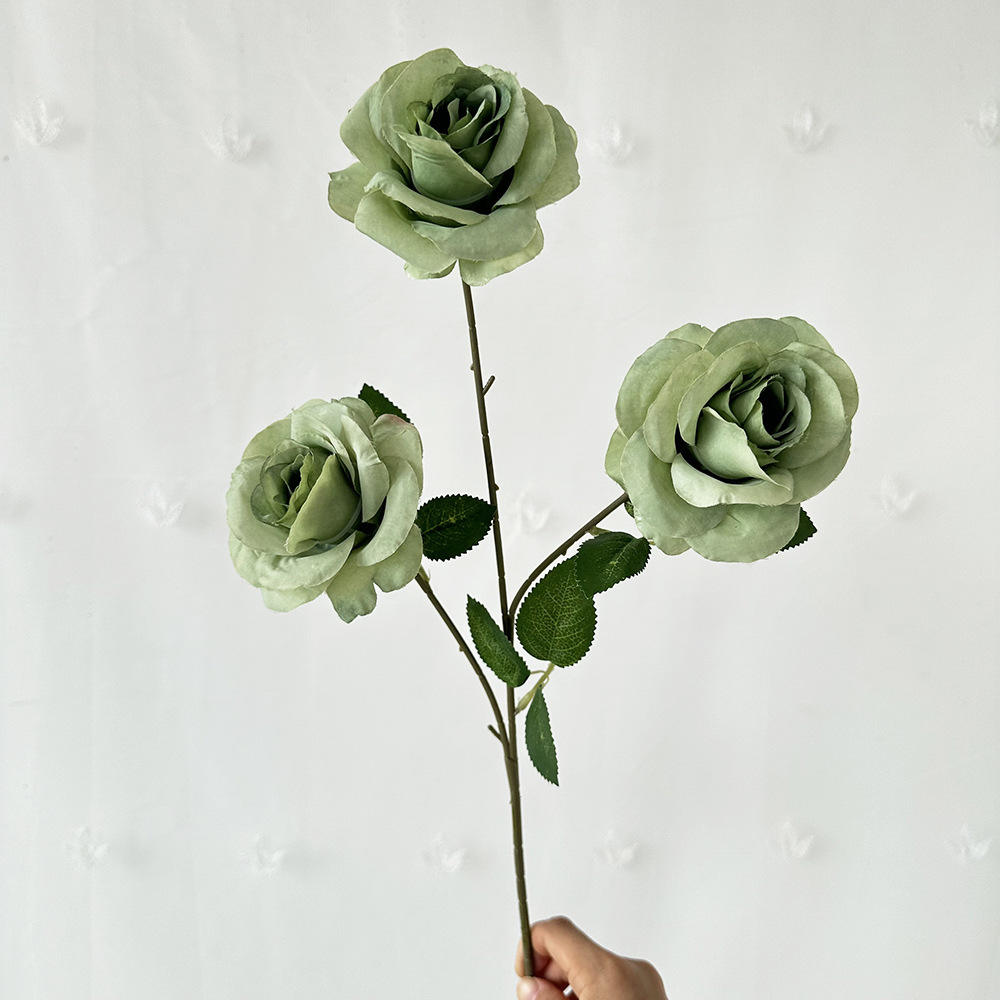 3 แม่เมา แอนนา โรส กรีน