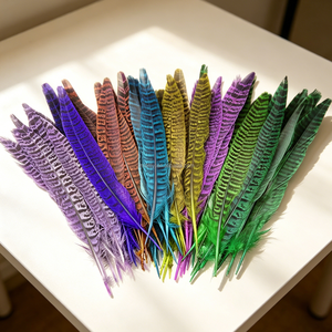 Plumas de Cola de Faisán Lady Amherst Auténticas - Ideales para Fondos de Estudio Fotográfico, Adornos de <span class=keywords><strong>Alta</strong></span> <span class=keywords><strong>Costura</strong></span> y Decoraciones Navideñas - Product Image 4