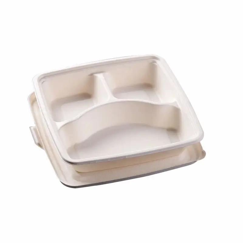 Wholesales Takeaway Packaging Container Degradable Compostable Tableware Set For Restaurant
