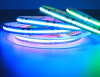 FCOB 12/24V Adressable RGBW RGB CCT COB LED Bande de LED étanche