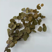 Arrangement floral éternel : Feuilles d'eucalyptus naturelles préservées avec branche et feuilles d'eucalyptus pomme à feuilles rondes naturelles