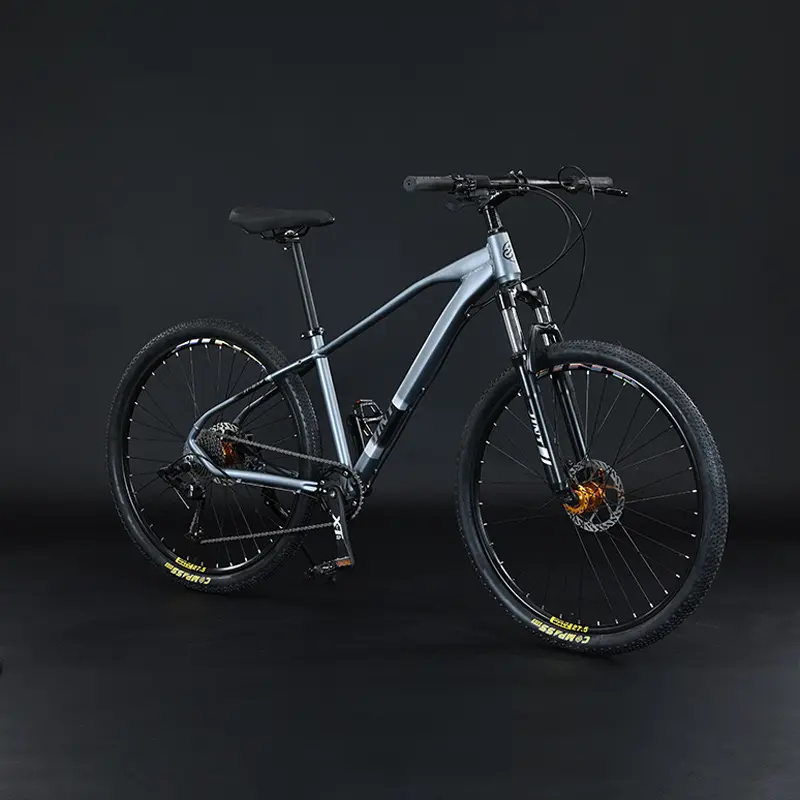 29 pollici Mountain Bike ruote bicicletta 21 velocità MTB bici con Design personalizzato e forcella di sospensione all'ingrosso