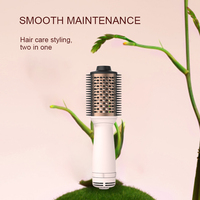 Ulelay-Brosse à cheveux professionnelle électrique, 650W, sèche-cheveux, peigne, brosse à air chaud, styler, une étape, sèche-cheveux et volumateur