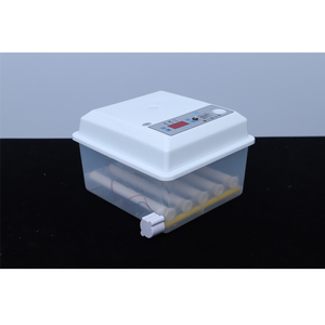 Chinese Manufacturer's Home Use Digital Mini <strong>Egg</strong> Incubator New 9/<strong>12</strong>/16 <strong>Egg</strong> Capacity for Chicken Duck Ostrich Turkey Plastic - Product Image 4
