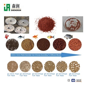 Machine de production d'aliments flottants pour poissons (tilapia, crevettes, poisson-chat) – Projet commercial - Product Image 4