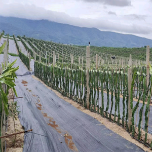 Tecido De Paisagem Tecido PE Estufa Agrícola Cobertura De Solo De Plástico Weed Mat - Product Image 3