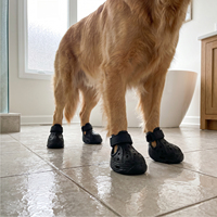 Chaussures d'été pour chien, légères, durables, respirantes, résistantes à l'usure, fournitures de protection pour animaux de compagnie